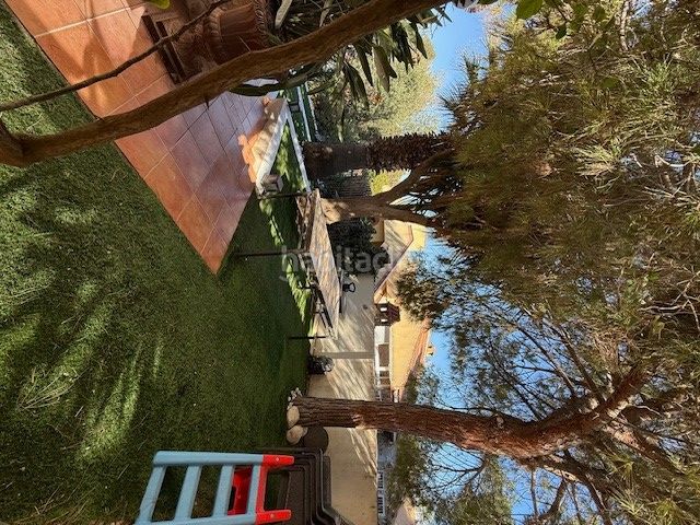 Foto 4701f451-d848-404e-a4f5-c21217191af1. Casa amb aparcament piscina a Playa Flamenca Orihuela