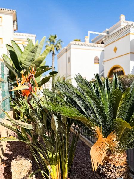 Foto 65b8adec-9376-4ca8-8305-083b9a83c830. Penthouse with pool in Cañada del Molino Torrevieja