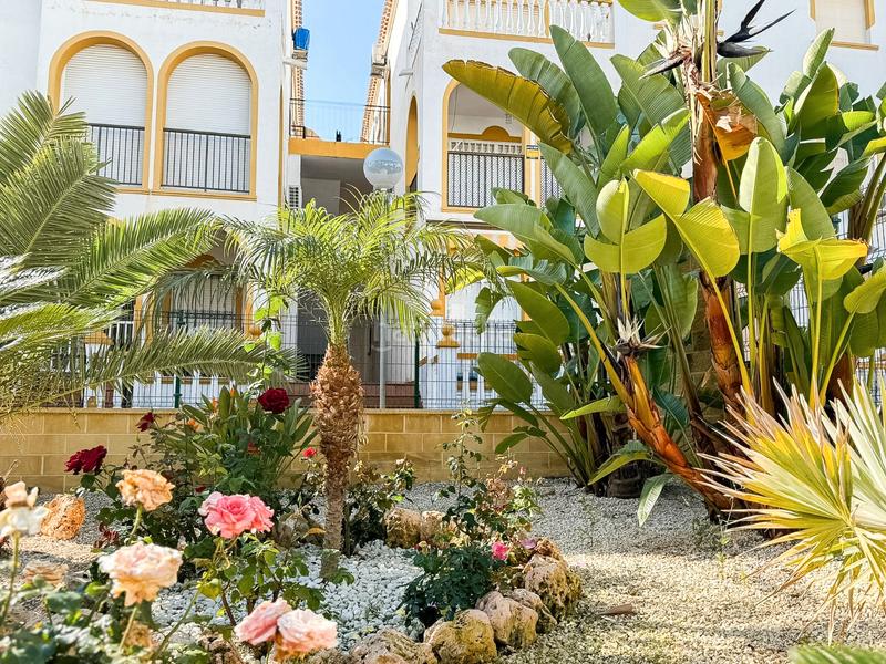 Foto cb623263-602b-45c6-98bd-08c2cca70a5c. Penthouse with pool in Cañada del Molino Torrevieja