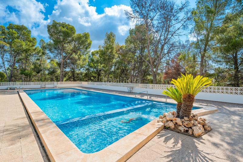 Foto 0171166c-fb6b-42b6-80ce-a70ac8e226a1. Apartament amb aparcament piscina a Polop