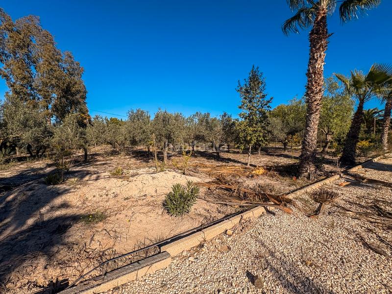 Foto 933f7ba6-7822-4499-96e7-5509bf06e619. Masia amb calefacció aparcament piscina a Las Bayas Elche / Elx