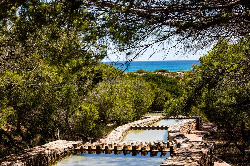 Foto 8a10a812-5799-41d0-a2ae-9214a2b121c9. Casa amb aparcament a Los Europeos Torrevieja