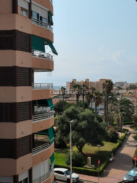 Foto df4278be-a452-4800-b1d4-6f626d5818e0. Àtic a Gaspar Perelló Torrevieja