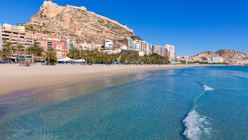 Foto d0d3d834-c7da-4a74-8b02-0194cc64b80f. Àtic amb piscina a Paus - Polígono San Blas Alicante