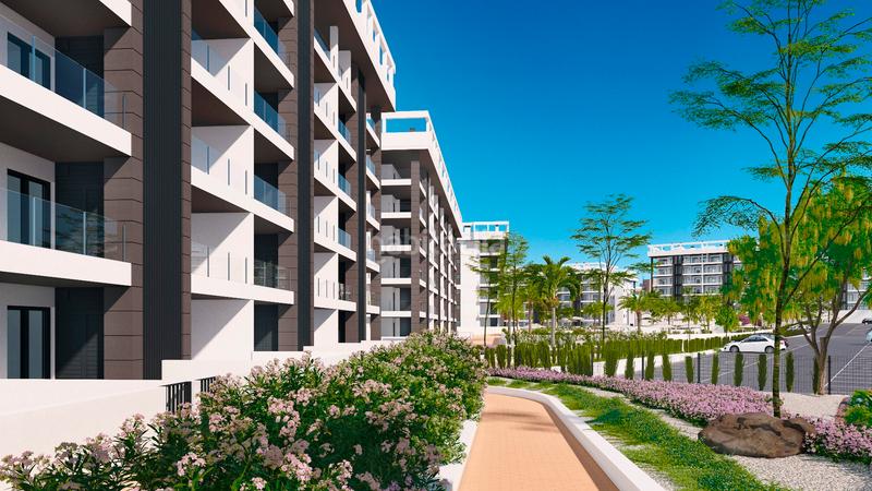 Foto fa4cb182-3ec8-4a13-a814-a49fe4f2cc73. Àtic amb aparcament piscina a Torreblanca Torrevieja