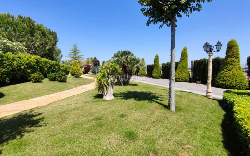 Foto 12bfadf3-1de0-42ed-a705-814ba7901b5d. Casa amb piscina a Pedanías Oeste Aspe
