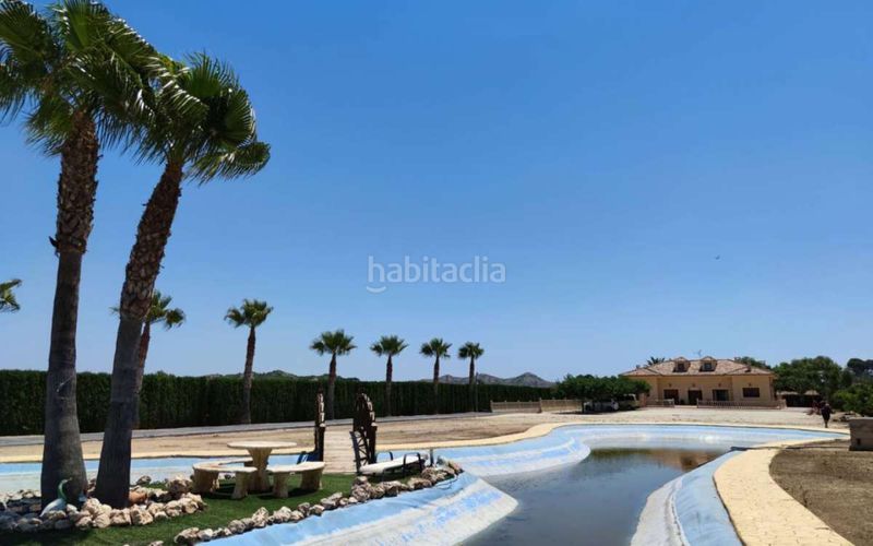 Foto 93c9f76e-ba70-44bf-849b-e4b2f9bd227f. Casa amb piscina a Pedanías Oeste Aspe