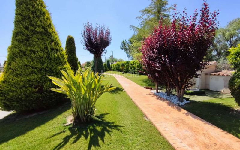 Foto c3bdb9bc-8379-4fbd-bc3f-302081121f8c. Casa amb piscina a Pedanías Oeste Aspe