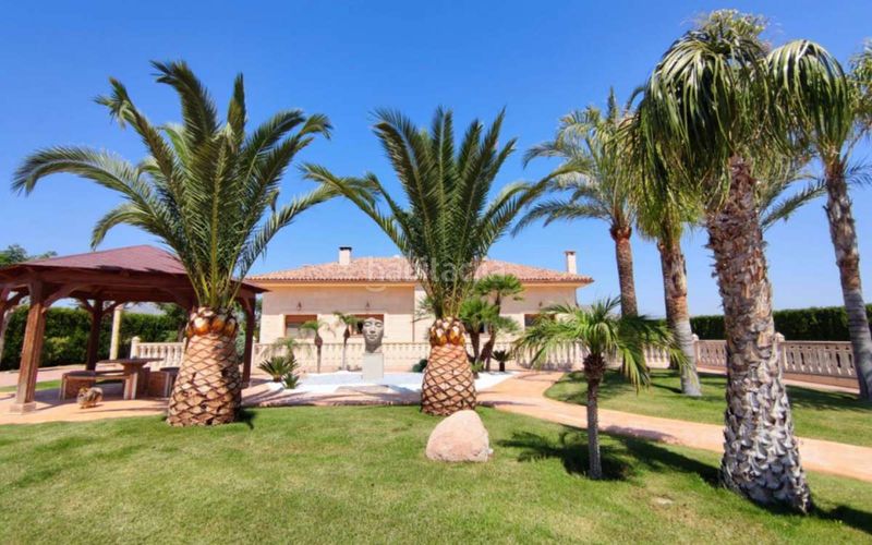 Foto e1b3a59f-fdfa-478d-9347-716734edb940. Casa amb piscina a Pedanías Oeste Aspe