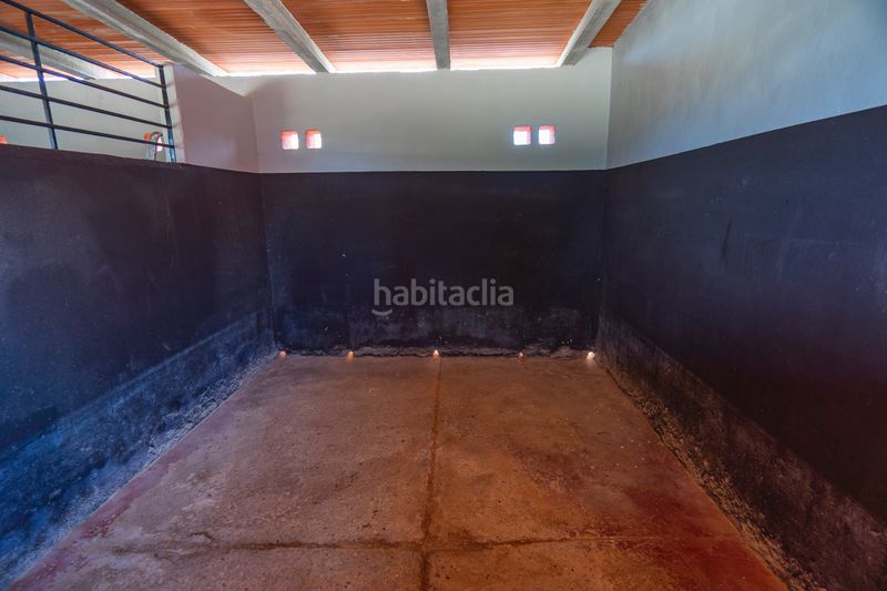 Foto 8f1c7a45-4115-4930-bba4-99846079a70f. Casa amb aparcament piscina a Almoradí