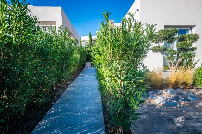 Foto 64a6a42f-2de4-46c3-bc14-a2f523d97b2c. Casa amb aparcament piscina a Algorfa