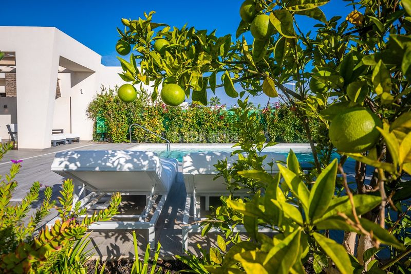 Foto feffcea3-8162-435b-a76d-85754dd22f81. Casa amb aparcament piscina a Algorfa