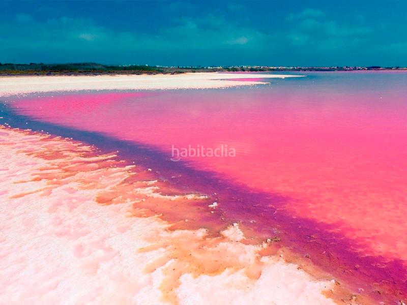 Foto 9718f318-764b-4bf5-a5dd-e970cac11114. Apartamento este es un residencial con una ubicación excelente cerca de Playa Flamenca, centros comerciales como zenia boulevard y conectado c en Orihuela