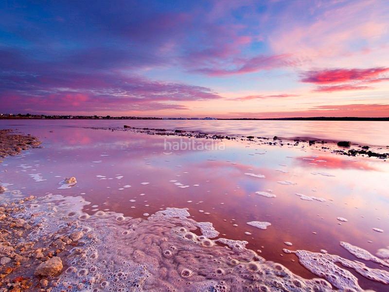 Foto d2a2cc35-2f93-41fa-87b9-e840c89ad0fd. Apartamento este es un residencial con una ubicación excelente cerca de Playa Flamenca, centros comerciales como zenia boulevard y conectado c en Orihuela