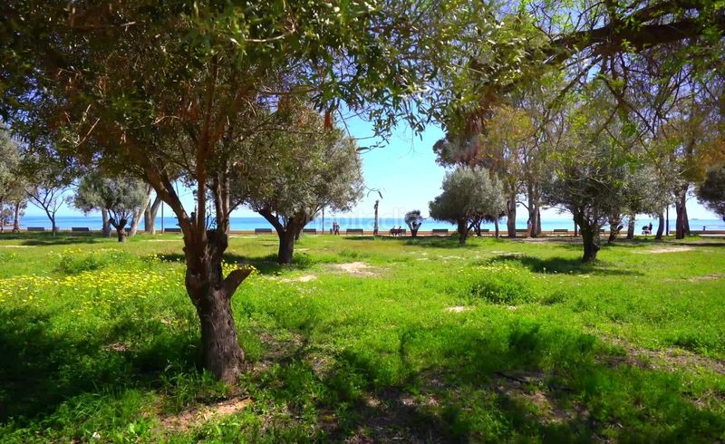 Foto c9051ee9-b047-4cdd-a6bc-614aebfdac45. Apartament amb calefacció aparcament piscina a Platja de Torres Vila Joiosa (la)