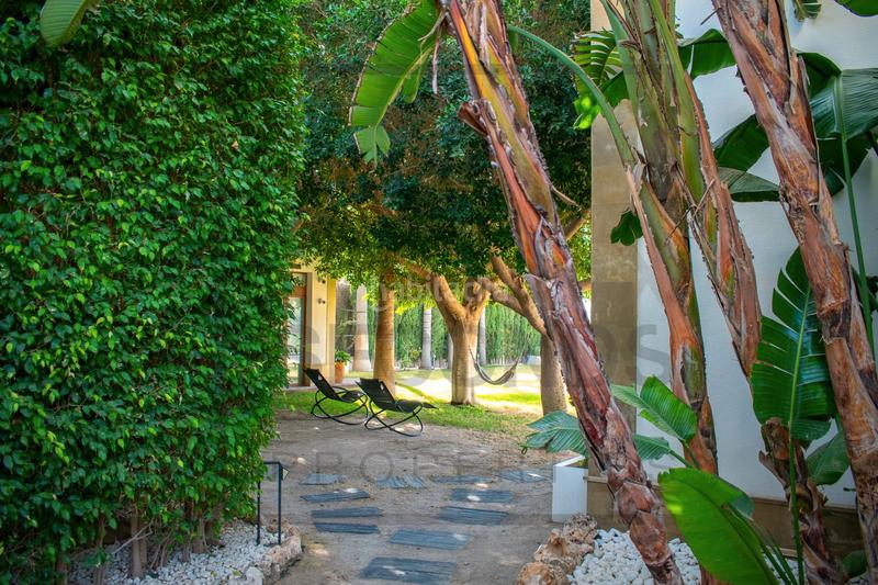 Foto e87a2c24-34d7-47b1-b288-5589f4d3251f. Casa con riscaldamento parcheggio piscina in Algorfa