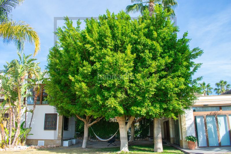 Foto 3763a471-8efc-410d-8b80-9ce86259546d. Maison avec chauffage parking piscine dans Algorfa