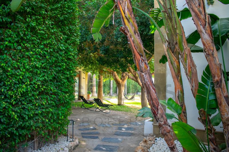 Foto e87a2c24-34d7-47b1-b288-5589f4d3251f. Maison avec chauffage parking piscine dans Algorfa