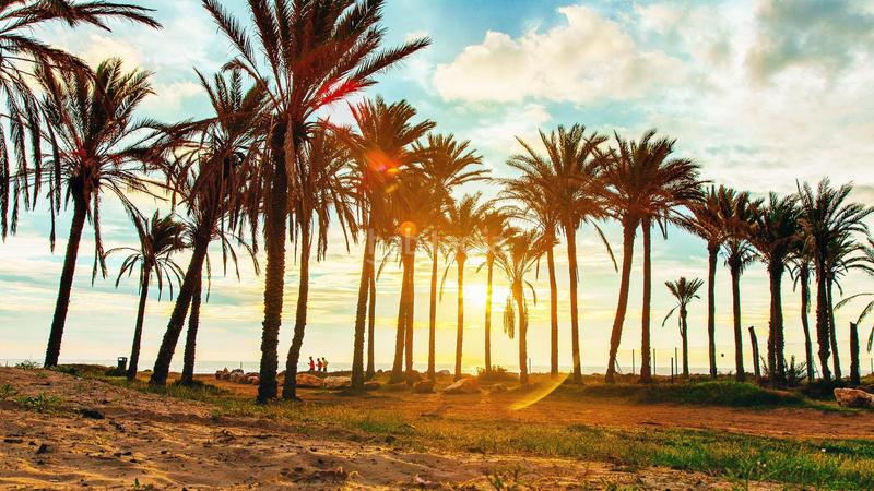 Foto 82588455-7ae6-44cd-a418-44c3095618a9. House in calle narvaez in La Veleta Torrevieja