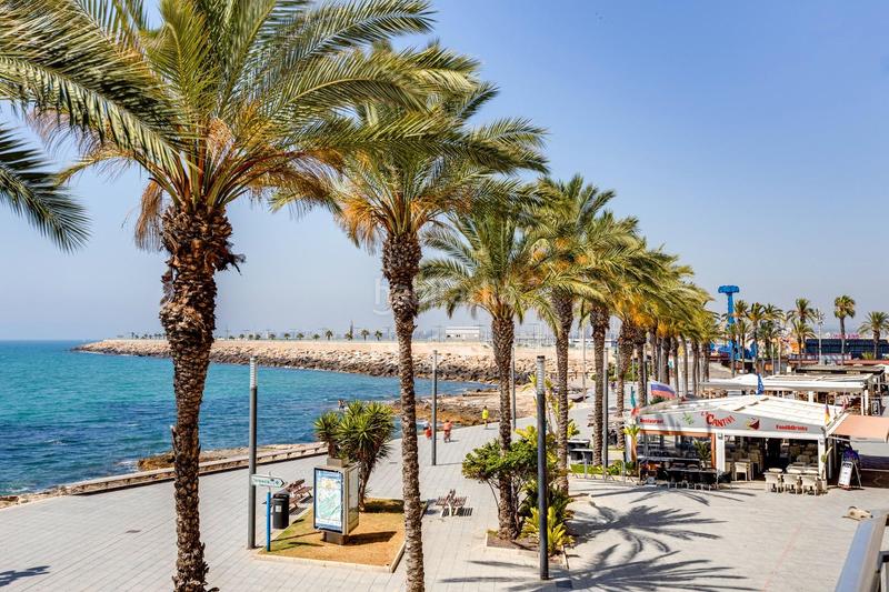 Foto f6c17023-563e-43ea-b7ee-f6eae4bb24e8. Apartament a Avenida Habaneras - Curva de Palangre Torrevieja