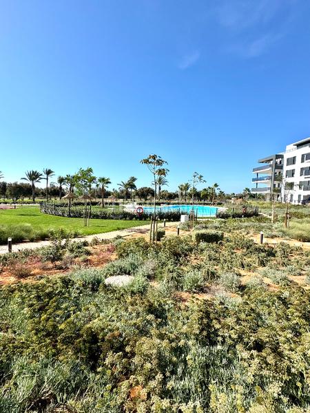 Foto 66ee7fb7-0f8f-46b8-bd38-f6f842630d91. Àtic a avenida del mar 145 a Almerimar Ejido (El)