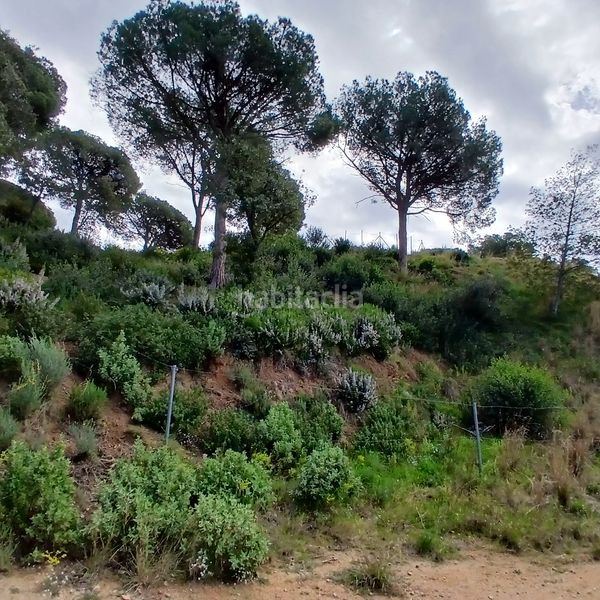Foto 97bceb92-43cc-4c5d-aa03-04a272d48c86. Terreny residencial a Cabrils