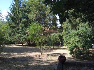 Finca rústica en Camiño as coutadas 25. Venta de terreno en castrelos no urbanizable