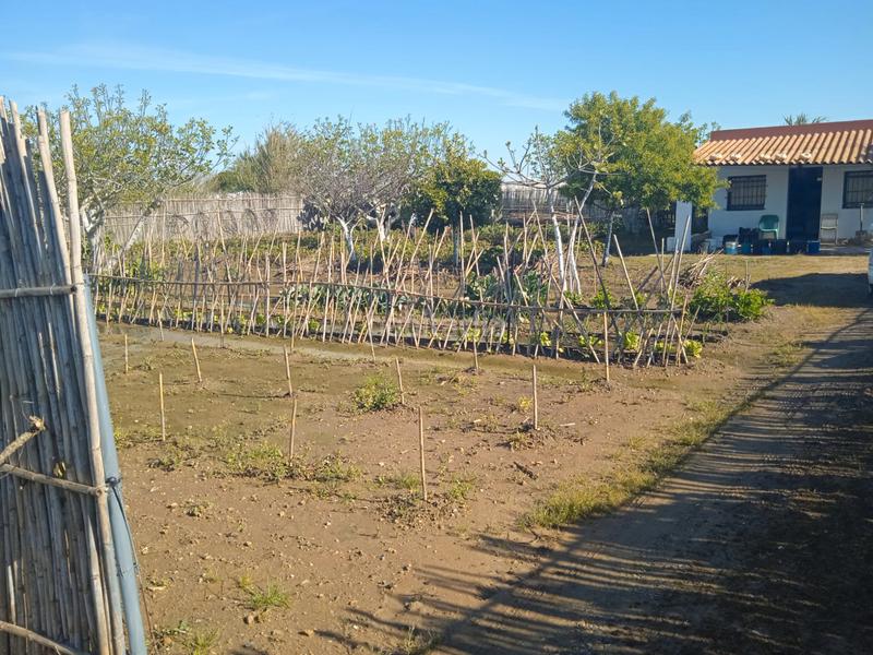 Foto 2fc67e71-27db-41cd-9d36-7e42b685ab4c. Masía bonita finca rústica en La Laguna Chipiona