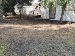 Masia en Chipiona Norte. Bonita parcela r�stica