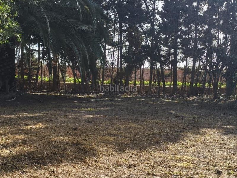 Foto 44352b51-61d4-4ddc-8e6b-423913f3a76e. Terreny residencial a Chipiona norte Chipiona