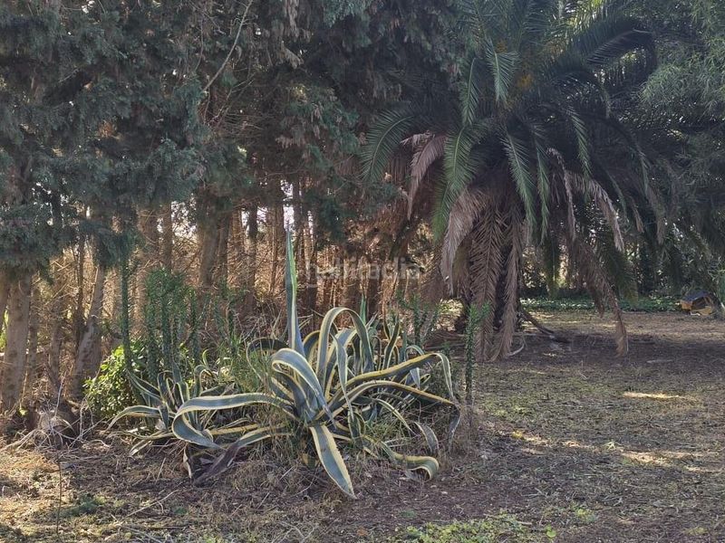 Foto 9a914821-b75d-4f60-9dbd-e256cfdc6153. Terreny residencial a Chipiona norte Chipiona