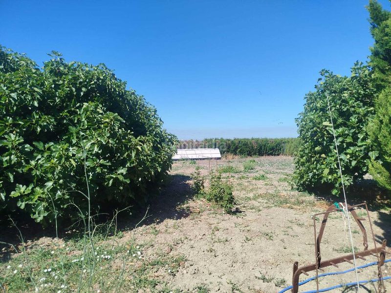 Foto f3f86fa8-1d0f-4dda-a16e-c9e4f6eafe04. Casa en Norte - Blanca Paloma Rota