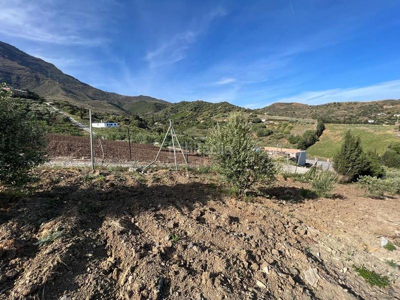 Foto 0356c3ab-ef9c-40a2-aa1e-dbb04e90dd15. Propriété dans Parque Central Estepona