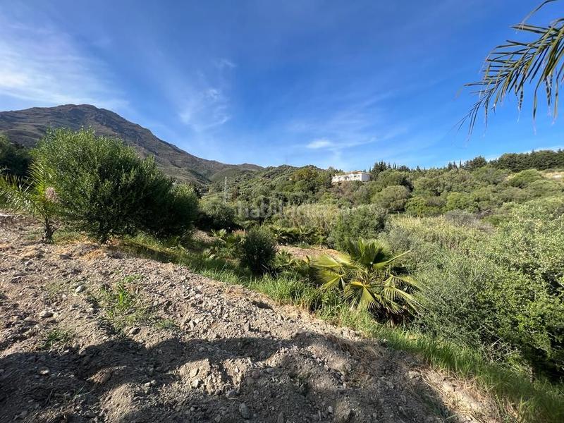 Foto 29e58d34-cf7e-4036-9483-7f354a8c306e. Propriété dans Parque Central Estepona