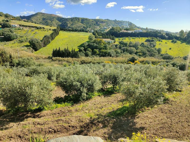 Foto 34b66c61-d83f-4eac-82a1-c46408afac5f. Propriété dans Parque Central Estepona