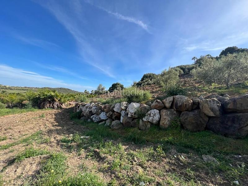 Foto 39e2ba3b-2e48-452a-a6ec-4342cb2d3b9f. Propriété dans Parque Central Estepona