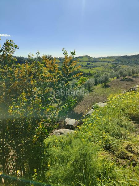 Foto 759c769a-8450-4d06-b626-bfd0576971da. Propriété dans Parque Central Estepona