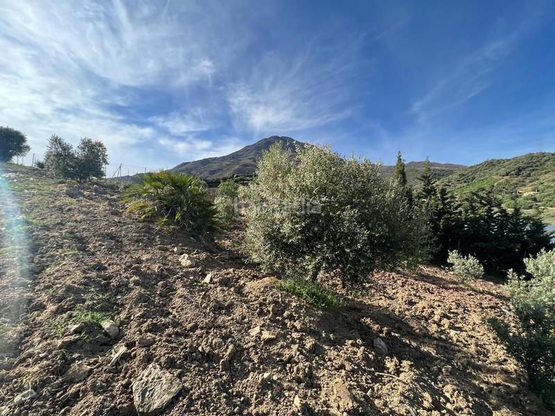 Foto 82589b52-9298-498e-9796-0cf6d7e0bb7d. Propriété dans Parque Central Estepona