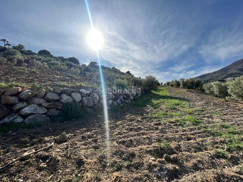 Foto 95c3ae98-2ddf-4dbc-8183-ab497b4e1cc9. Propriété dans Parque Central Estepona