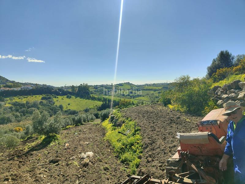 Foto 9bc43fdb-4e62-430f-92ed-58a71c23f7e5. Propriété dans Parque Central Estepona