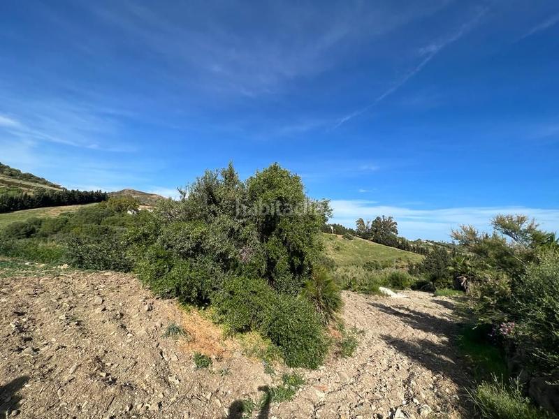 Foto b6a74256-3a2a-450d-9e32-26cbf246198b. Propriété dans Parque Central Estepona