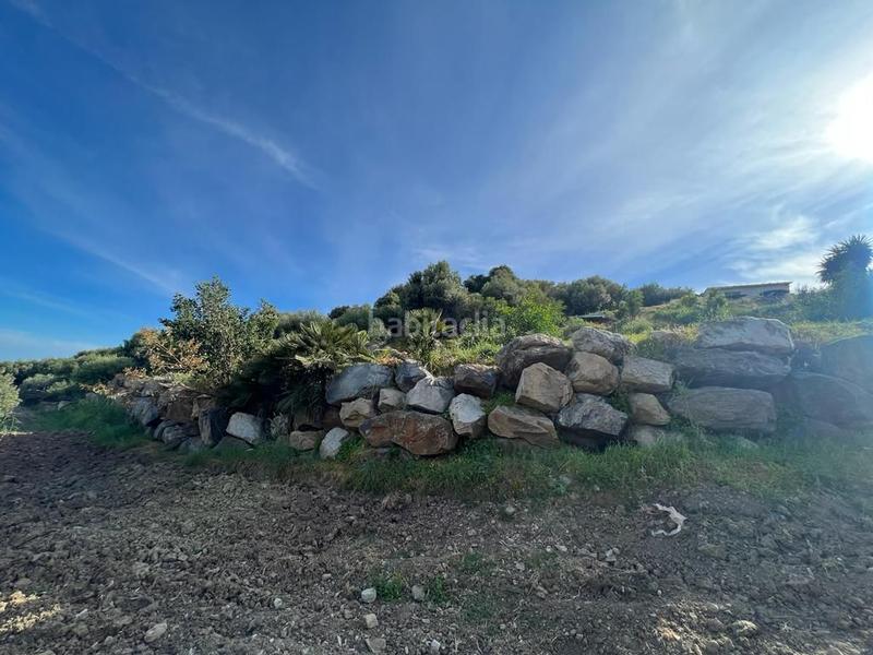 Foto b9bbb5d7-de40-4fdb-bec6-d6d8056849d5. Propriété dans Parque Central Estepona