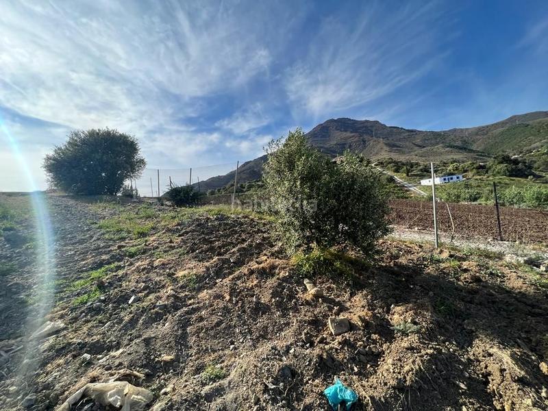 Foto fb1f3c82-99fd-411e-bd28-e43b59c5ffa0. Propriété dans Parque Central Estepona