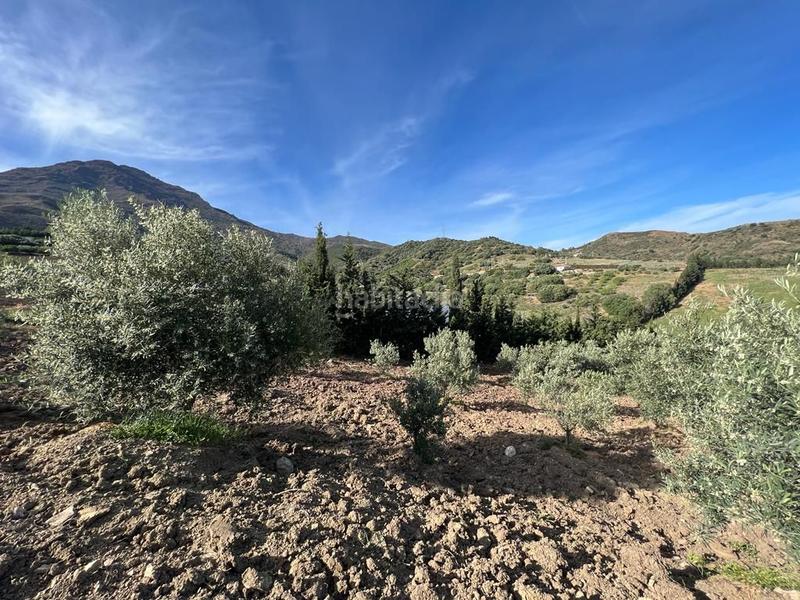 Foto 01f8e89c-a731-4344-8a8c-482503fc00dd. Rural plot in Parque Central Estepona