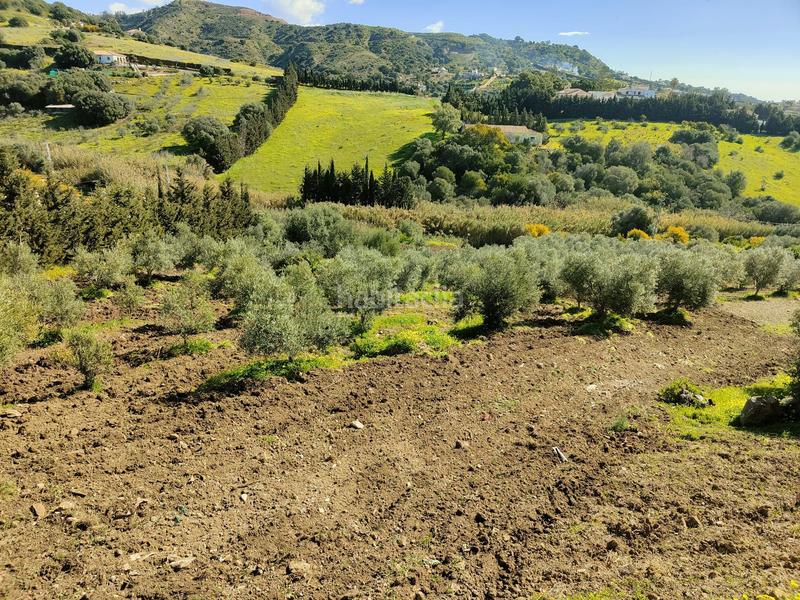 Foto 09014456-8b4e-49f6-9416-718f962967bb. Rural plot in Parque Central Estepona