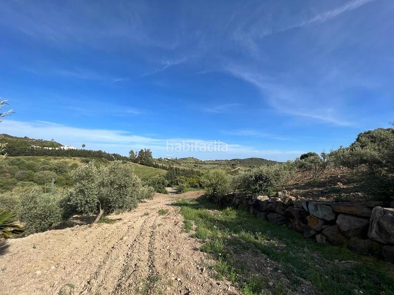 Foto 14091a8c-8c11-48bc-b993-093548aa1bd9. Rural plot in Parque Central Estepona