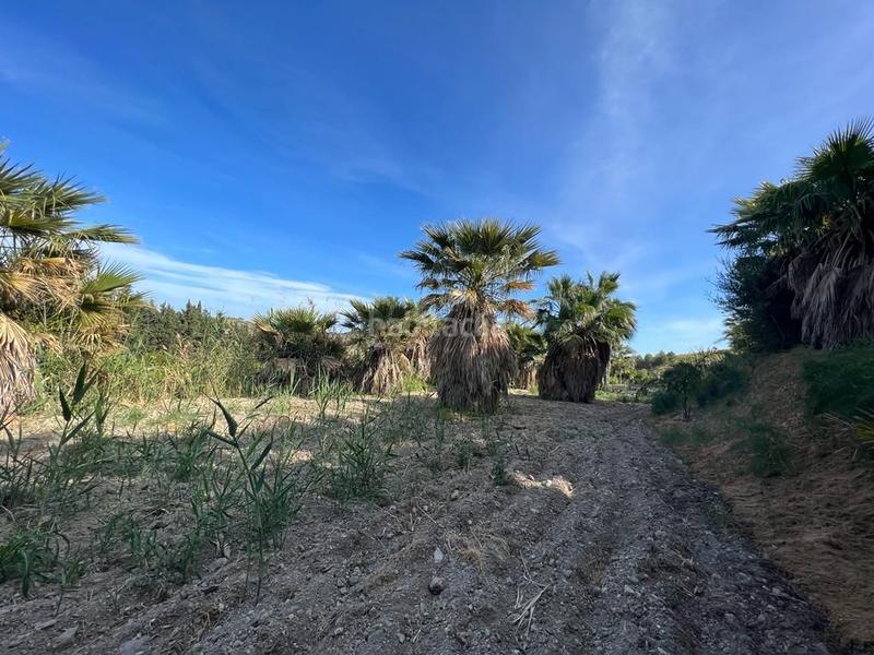 Foto 18276a12-a569-484f-a5fd-f243fac66c24. Rural plot in Parque Central Estepona