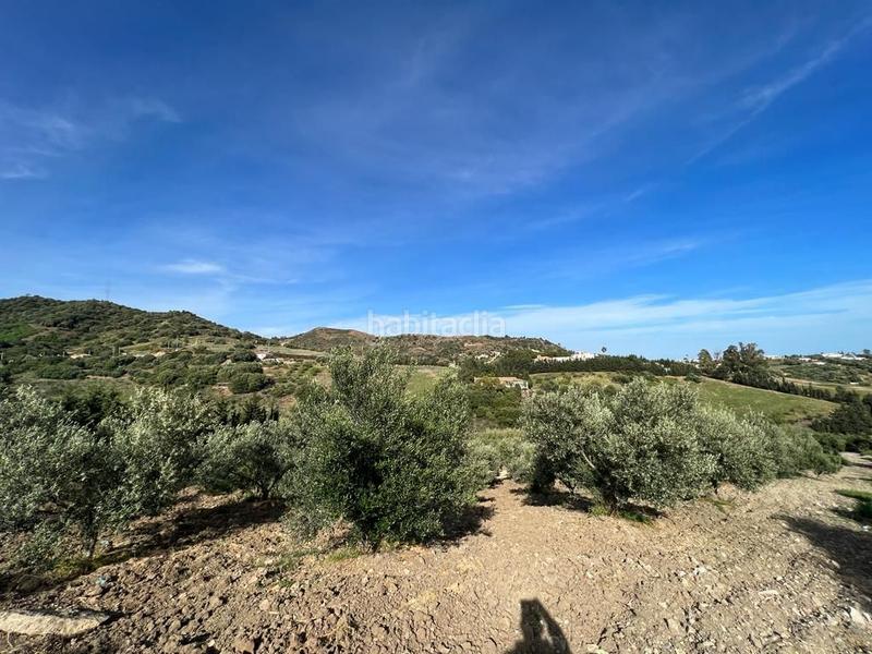 Foto 1c7fb70b-e39c-4fd8-a1f5-d47d941d78f9. Rural plot in Parque Central Estepona