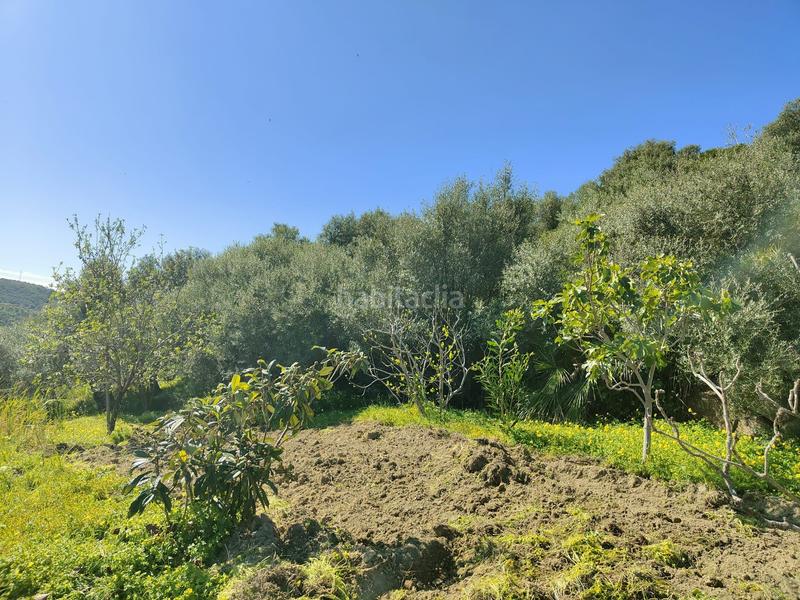 Foto 33686011-7846-44f4-b269-91edadded277. Rural plot in Parque Central Estepona