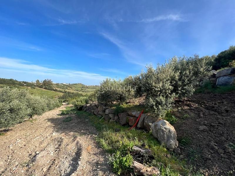 Foto 3d986d8a-24bf-4245-a596-b6d625bf9610. Rural plot in Parque Central Estepona